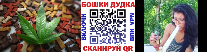 это наркотические препараты  KRAKEN рабочий сайт  Шенкурск  магазин продажи   Cannafood марихуана 