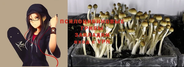 ALPHA-PVP Белокуриха